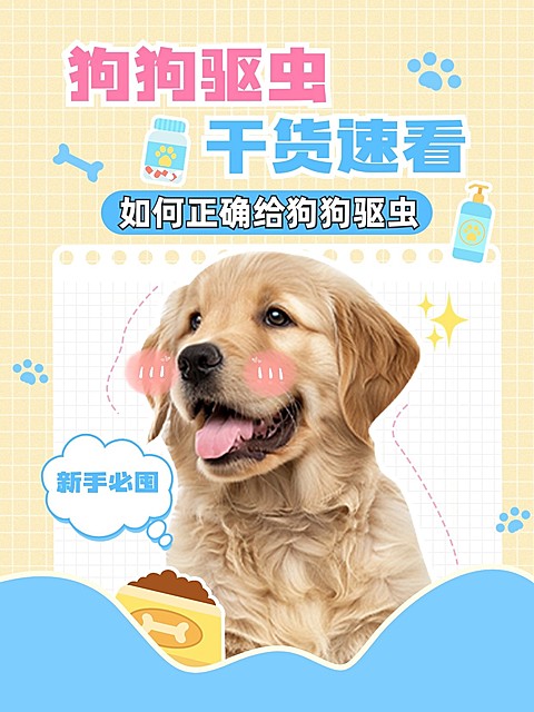 宠物狗狗知识科普套装小红书封面aigc