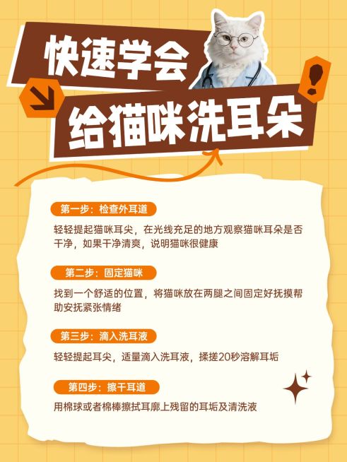 养宠小知识分享小红书配图预览效果