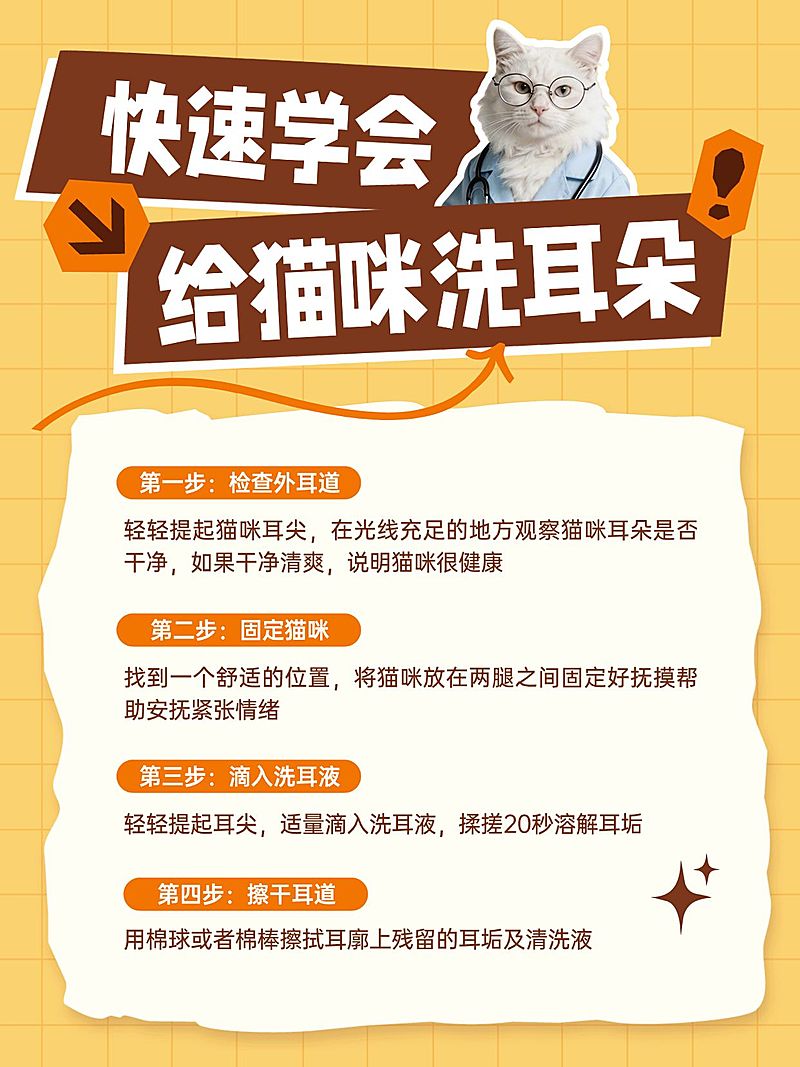 养宠小知识分享小红书配图