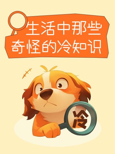 爆款趣味表情包梗图小红书封面aigc