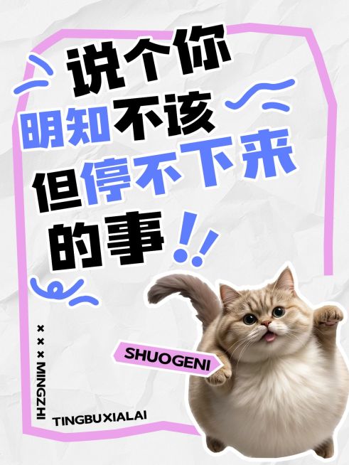 爆款大字排版趣味表情包梗图小红书封面aigc预览效果