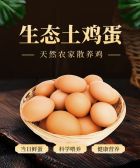 模板缩略图