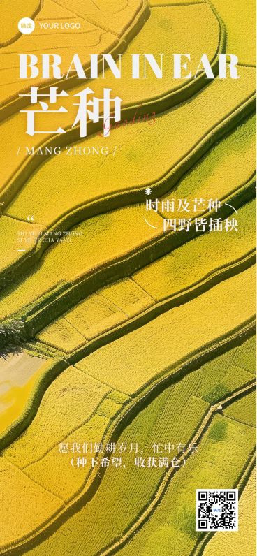 芒种节气祝福稻田实景宽阔全屏竖版海报AIGC预览效果