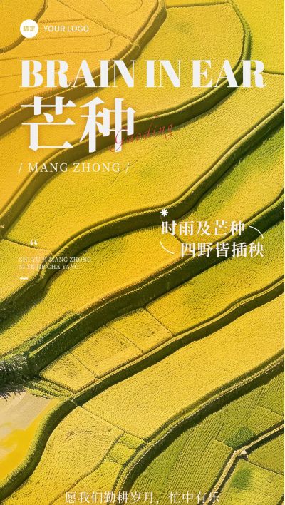 芒种节气祝福稻田实景宽阔全屏竖版海报AIGC