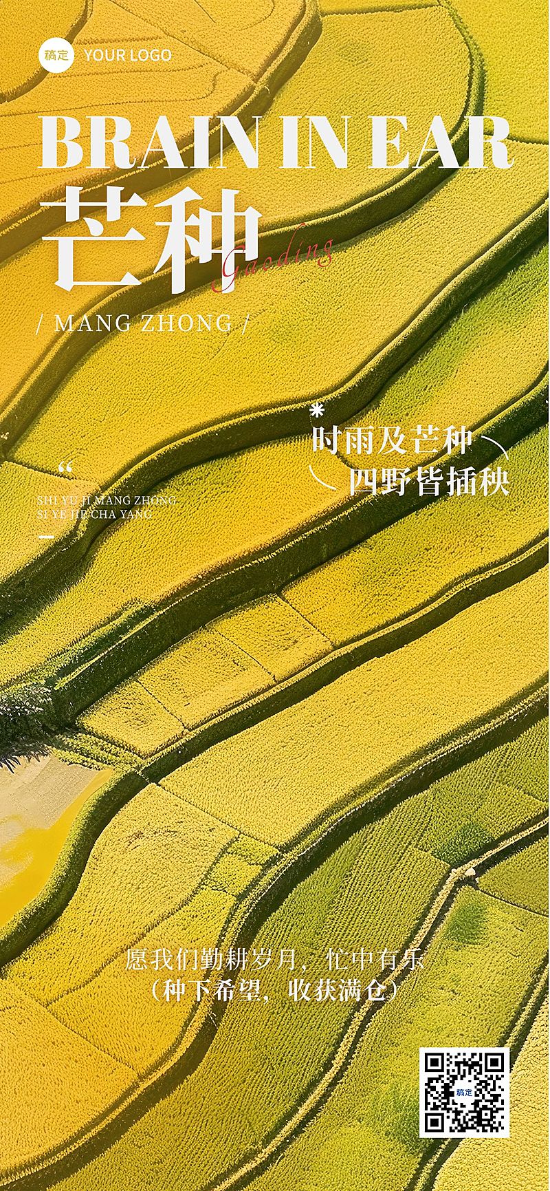 芒种节气祝福稻田实景宽阔全屏竖版海报AIGC