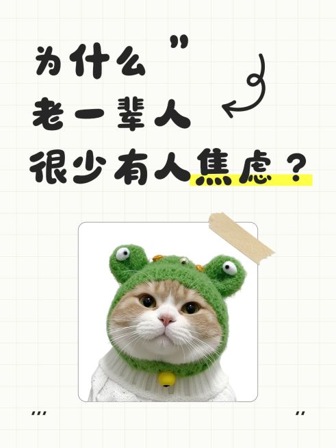 情感话题讨论生活分享可爱宠物梗图爆款大字小红书封面预览效果