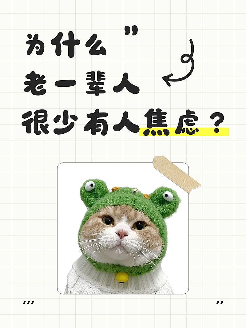 情感话题讨论生活分享可爱宠物梗图爆款大字小红书封面