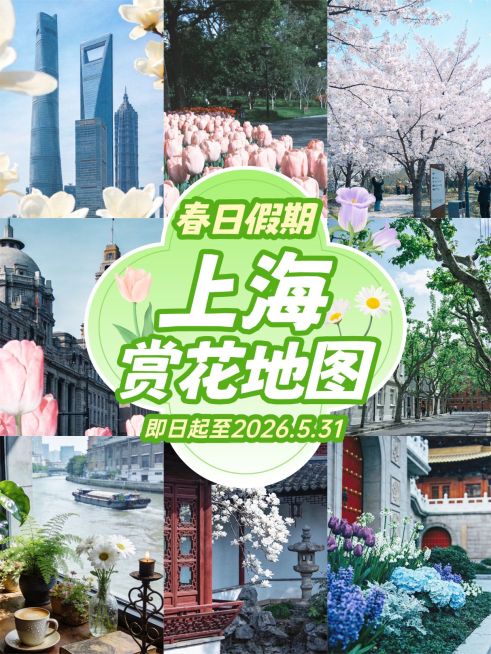 旅游出行上海行程推荐拼图小红书封面预览效果