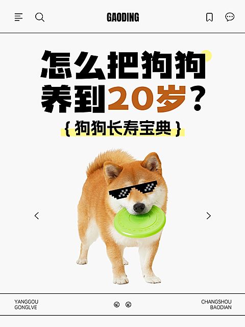 宠物知识科普分享宠物梗图爆款大字小红书封面