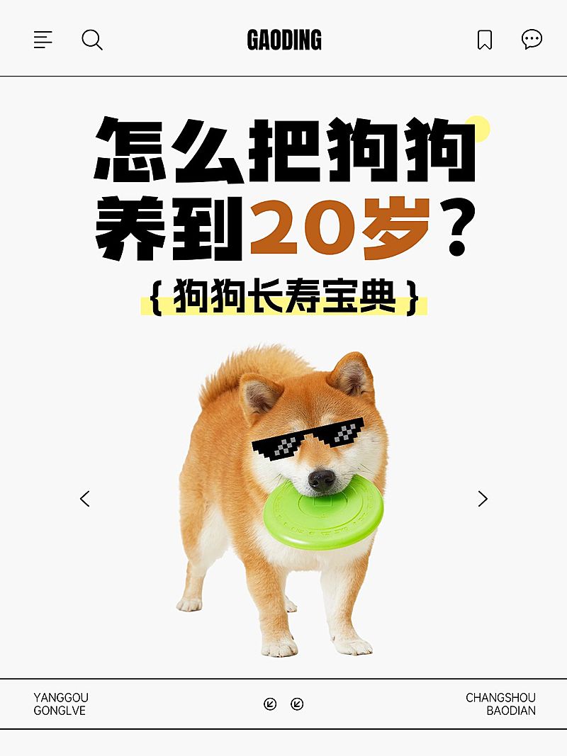 宠物知识科普分享宠物梗图爆款大字小红书封面