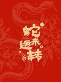 模板缩略图
