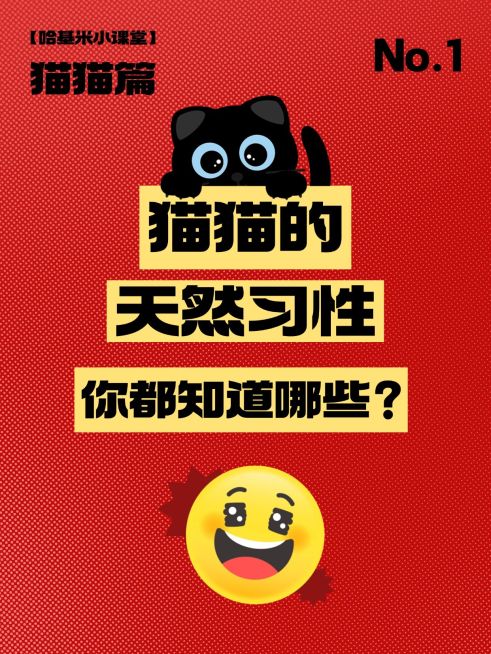 爆款吸睛大字小红书封面预览效果