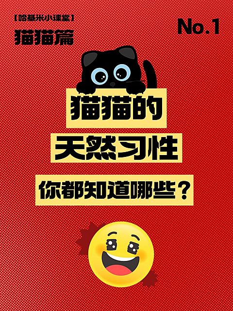 爆款吸睛大字小红书封面