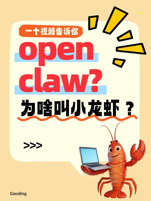 Opencalw知识科普大字小红书封面预览效果