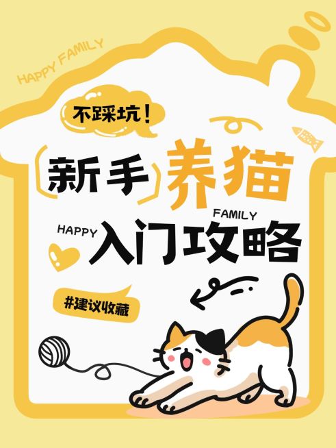 新手养猫指南爆款大字插画风小红书封面预览效果
