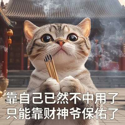 猫咪春节过年趣味梗图静态表情包aigc