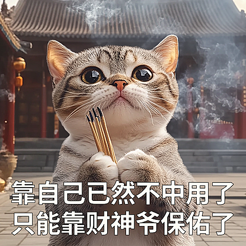 猫咪春节过年趣味梗图静态表情包aigc