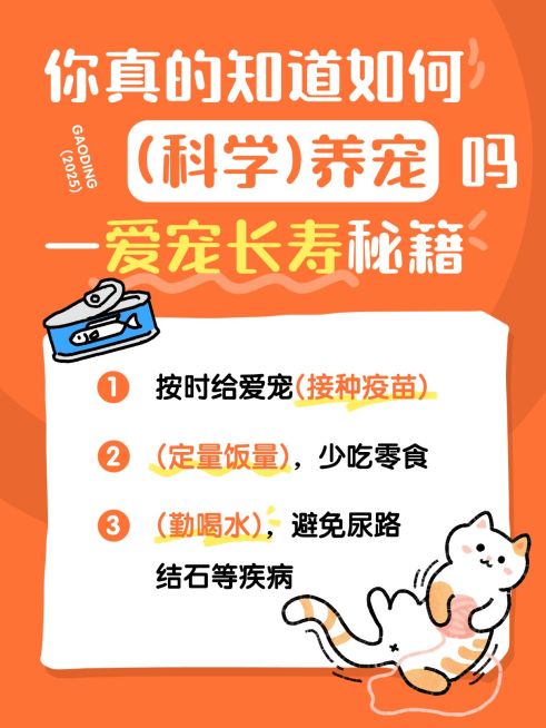 宠物日常科学养宠攻略指南分享趣味插画大字小红书封面预览效果