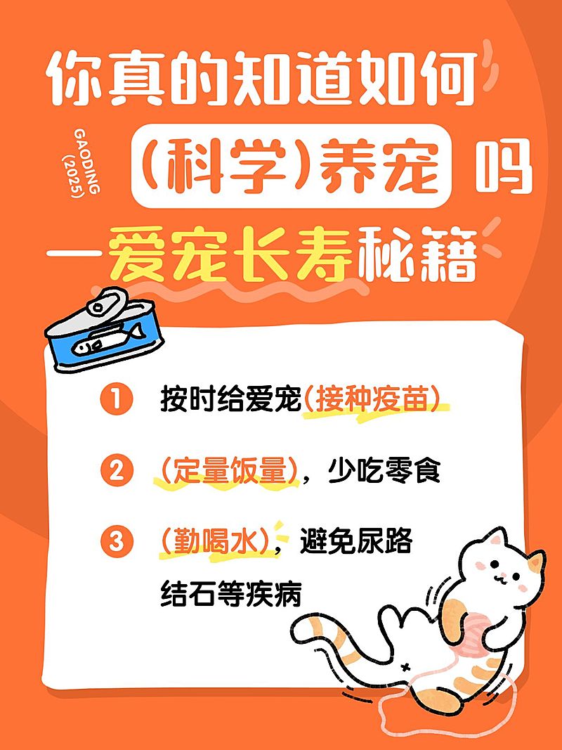 宠物日常科学养宠攻略指南分享趣味插画大字小红书封面