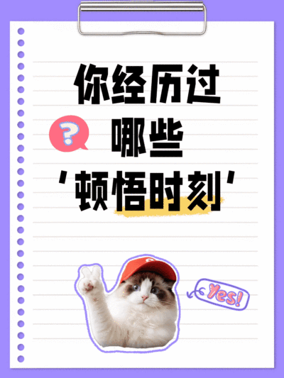 趣味猫咪表情包梗图小红书动态封面aigc