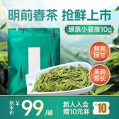 模板缩略图
