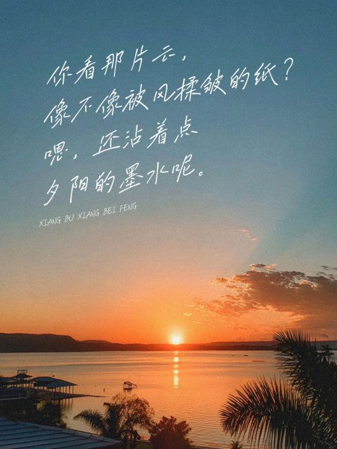 情感语录分享松弛感实景图文排版小红书封面预览效果