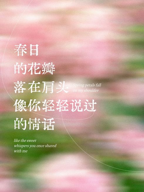 春日情感语录小红书封面aigc预览效果