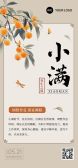 模板缩略图