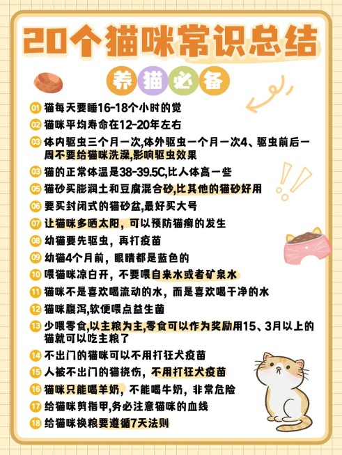 宠物猫咪知识科普套装小红书配图预览效果