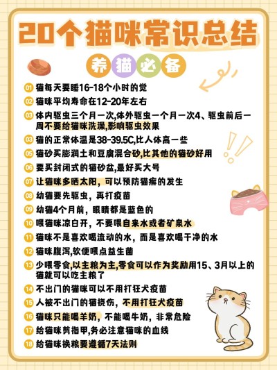 宠物猫咪知识科普套装小红书配图
