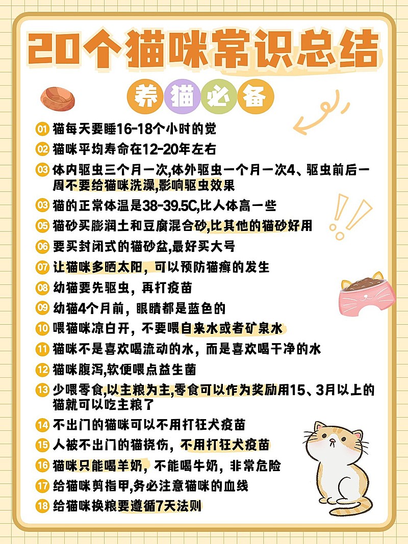 宠物猫咪知识科普套装小红书配图