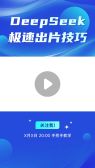 模板缩略图