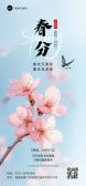 模板缩略图