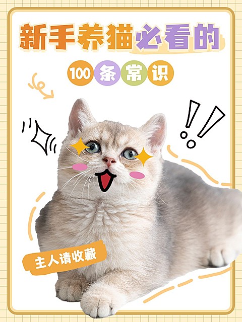 宠物猫咪知识科普套装小红书封面