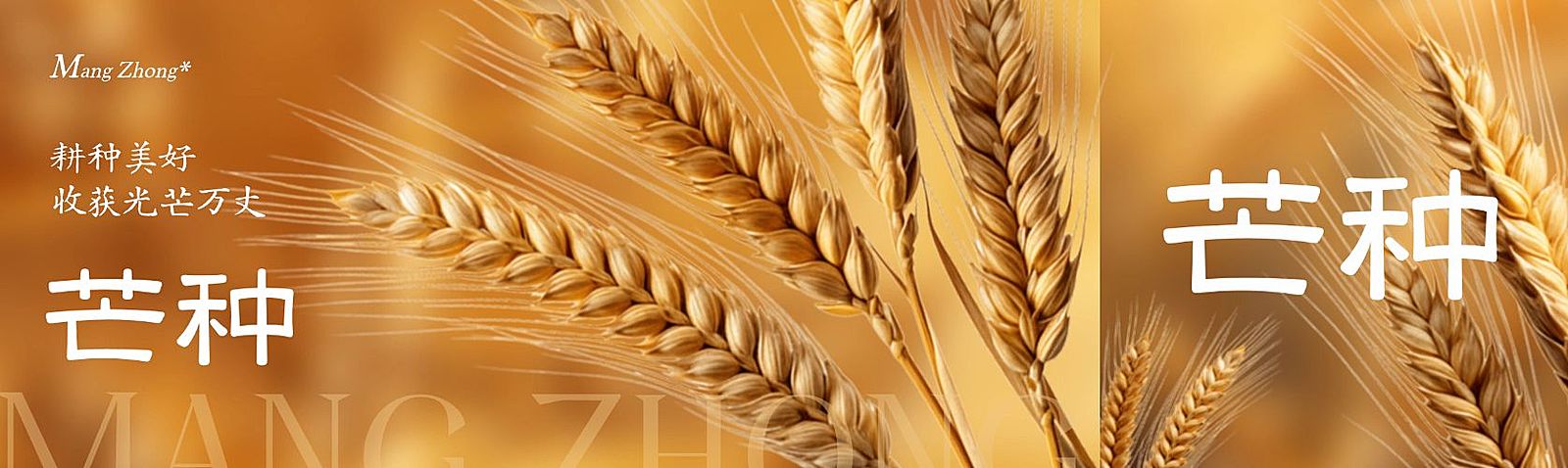 芒种节气祝福实景感公众号双封面AIGC
