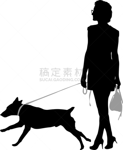 狗,女人,白色背景,纯种犬,梗犬,动物,斯班尼犬,剪影,坐,训练