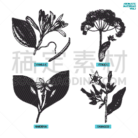 草药,芳香的,香料,凉鞋,瓶子,熏香,植物,布置,复古,花