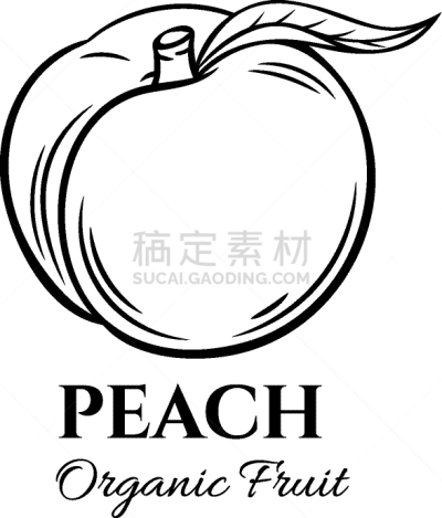 桃,计算机图标,动物手,夏天,轮廓,黑色,清新,绘制,复古,瘦身