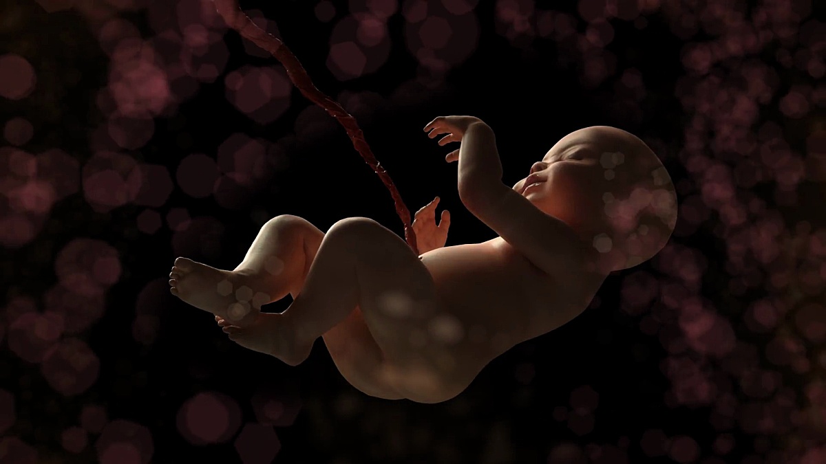 母亲子宫中的人类婴儿3D渲染