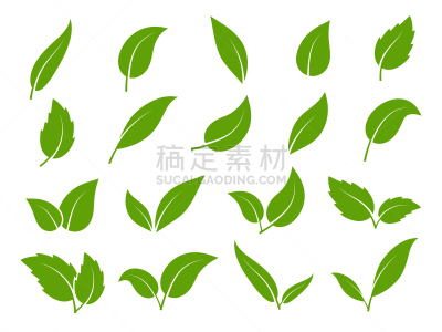 秧苗,矢量,计算机图标,素食,叶子,生物学,多样,形状,环境,植物群