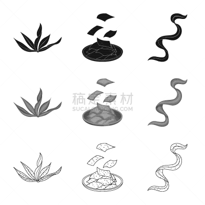 海洋,品牌名称,蛋白质,蔬菜,素食,螺线,食品,营养品,维生素,草