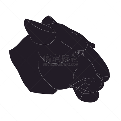 雌狮,肖像,可爱的,野生动物,直的,猎豹,狮子,彪马,剪影