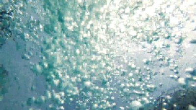 气泡和花朵浮上水面