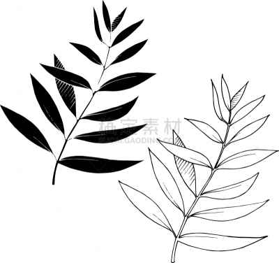 雕刻图像,枝,叶子,墨水,黑白图片,壁纸,植物,夏天,剪影
