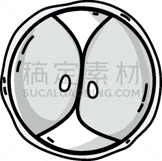 生物学,脱氧核糖核酸,胚胎,成一排,卵子,人,科学,生物科技,分割