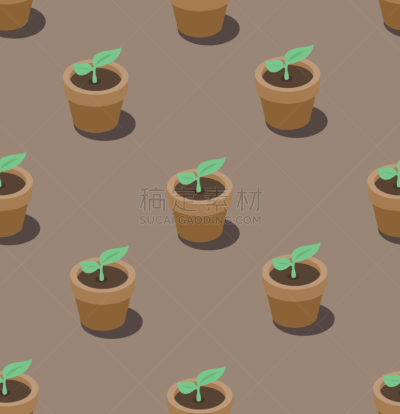 植物,花盆,式样,高雅,可爱的,大桶,泰国,仙人掌,现代,等角投影
