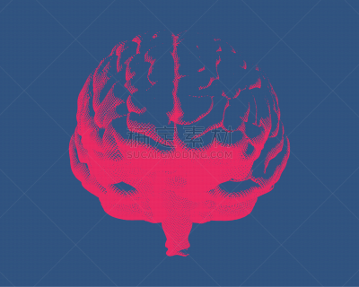绘画插图,雕刻图像,蓝色,脑部,半球体,背景分离,药,泰国,复古风格,古典式