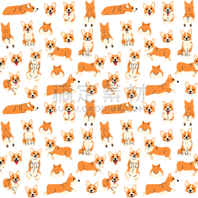 威尔士柯基犬,动作,四方连续纹样,可爱的,宠物,纯种犬,家庭,睡觉,收集,坐