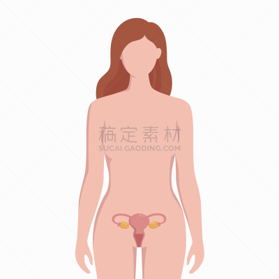 健康保健,女人,卵巢,扁平化设计,生物学,宫颈管,剪影