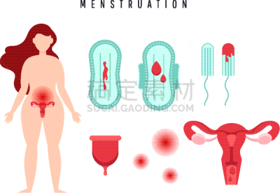 卵巢,人,有月经,女性,人类的生殖器官,子宫颈,女人,女孩